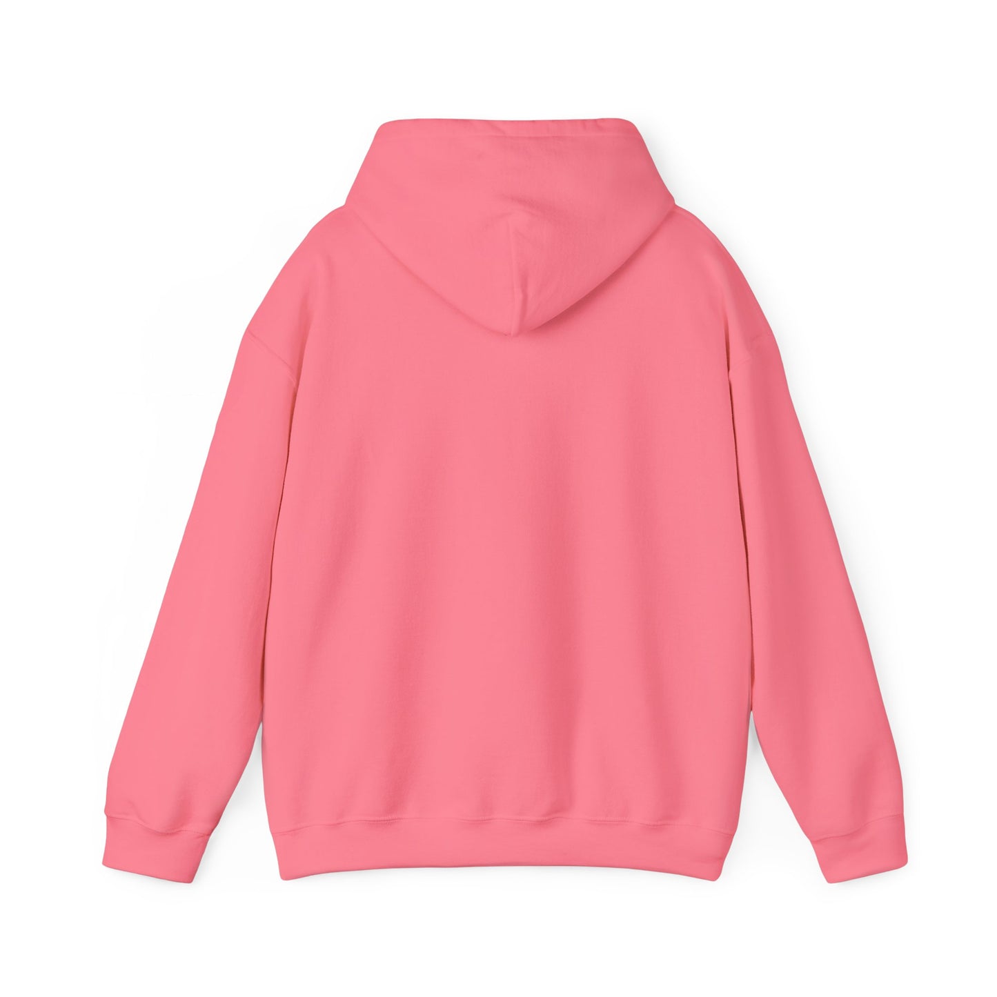 SWEATER CON CAPUCHA TMBA