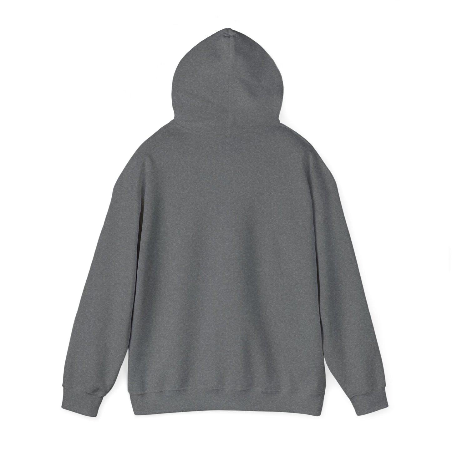 SWEATER CON CAPUCHA ñooooo!!!