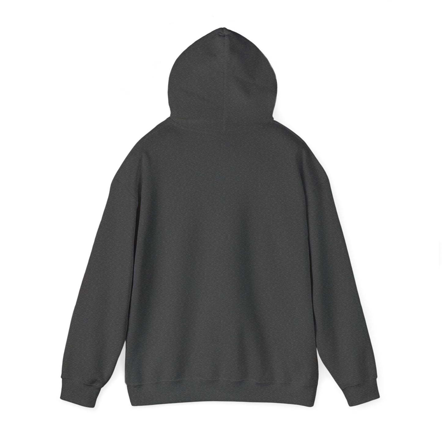 SWEATER CON CAPUCHA TMBA